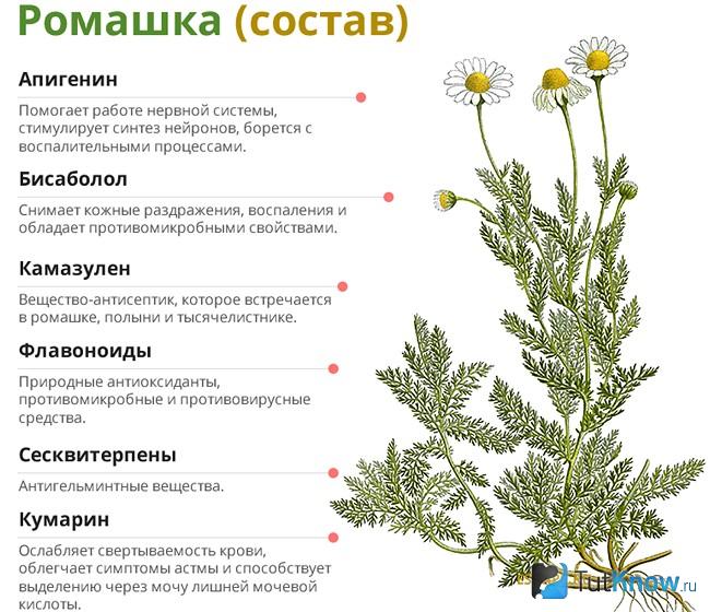 Графическое отображение состава ромашки