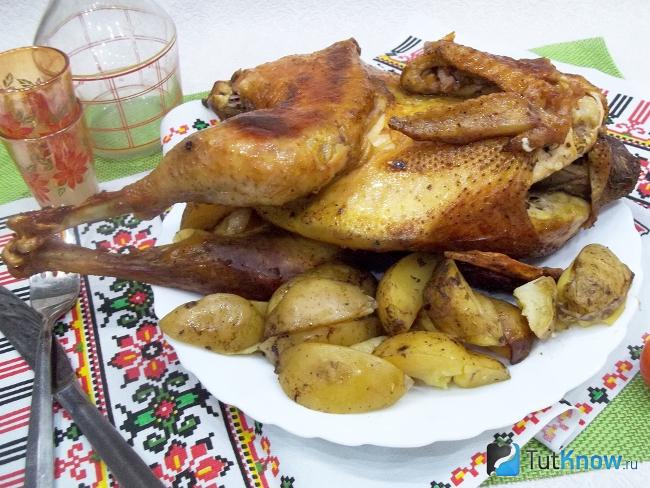 Готовая курица