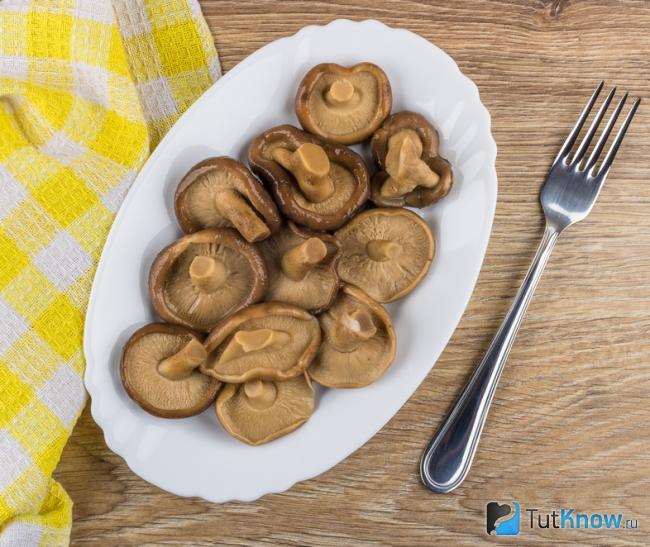 Маринованные горькушки
