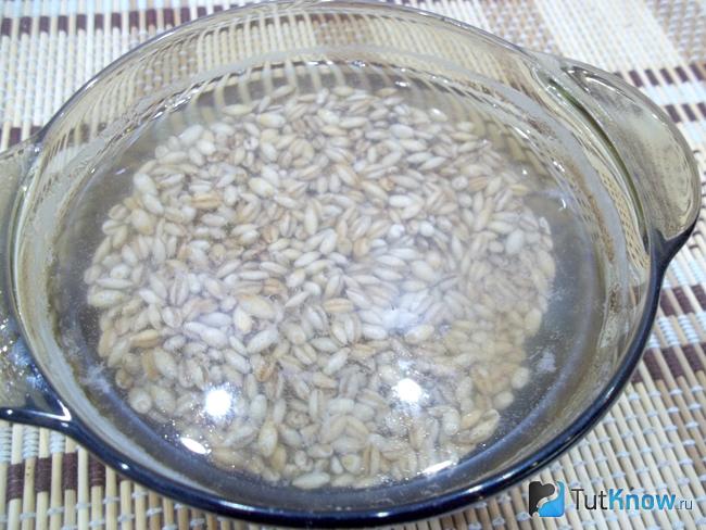 Перловка залита водой