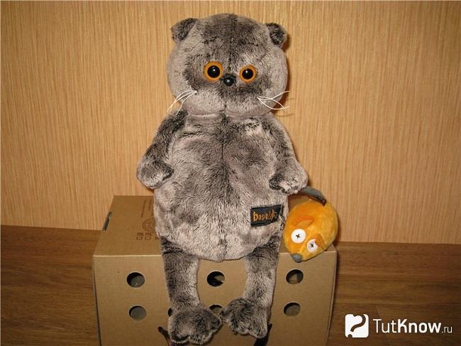 Как выглядит кот Басик
