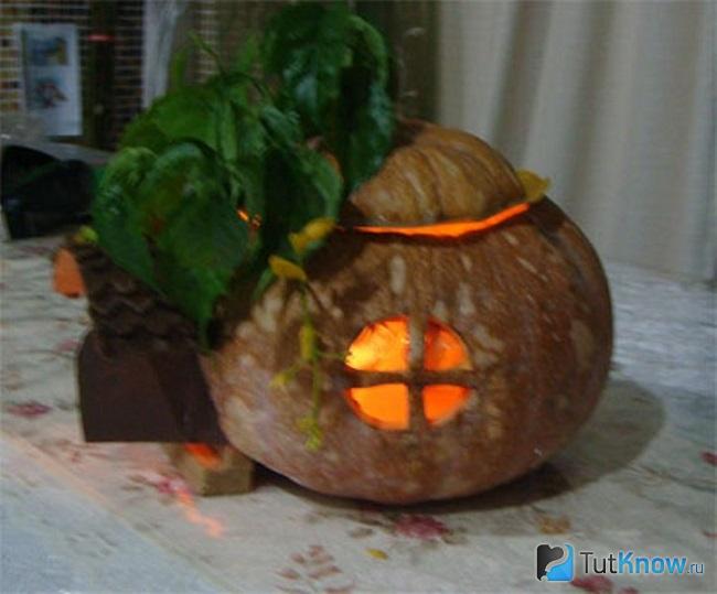 Как выглядит домик из тыквы