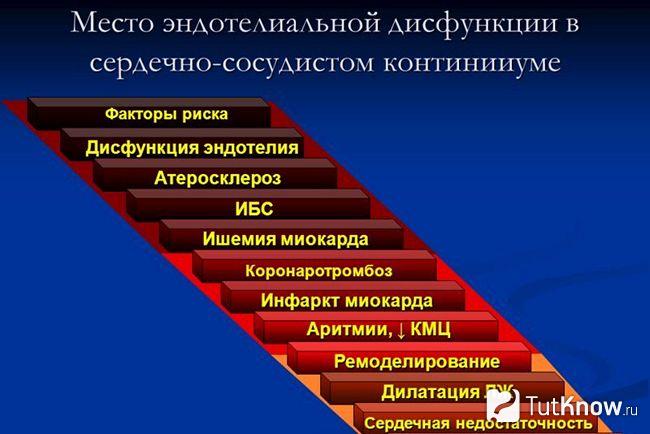 Перечень возможных последствий эндотелиальной дисфункции
