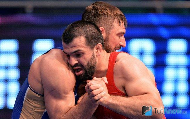 Два взрослых борца