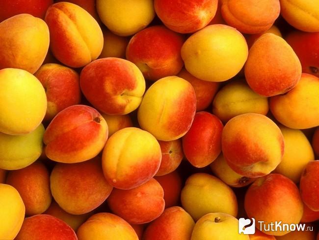 Спелые абрикосы крупным планом
