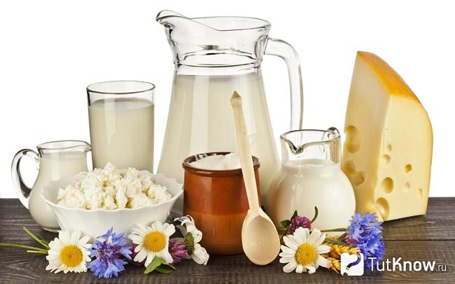 Различные молочные продукты