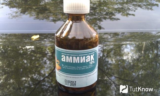 Баночка аммиака крупным планом