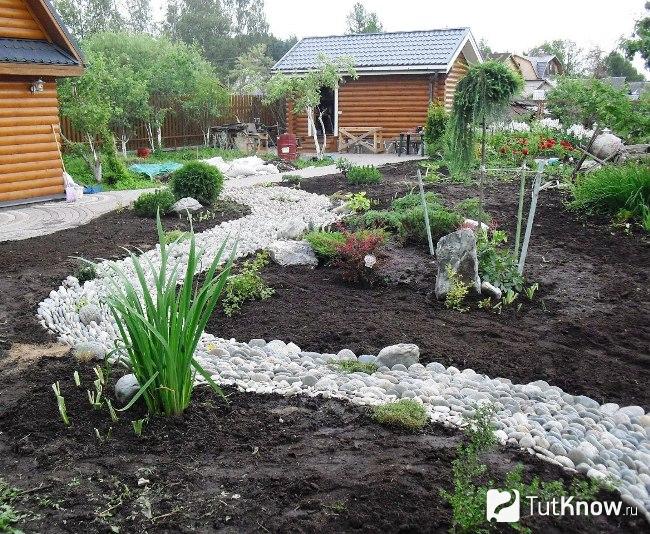 Как оформить берега сухого ручья растениями