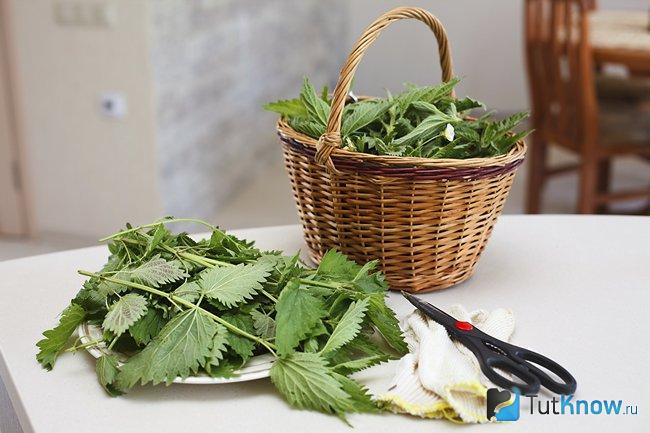 Листки крапивы в корзинке и на тарелке