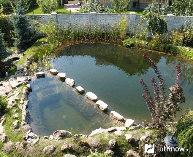 Пруд для рыбы на загородном участке