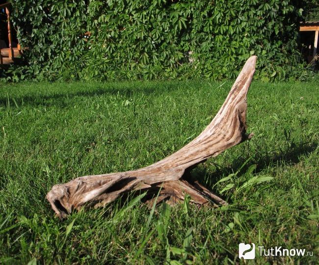 Коряга для рутария