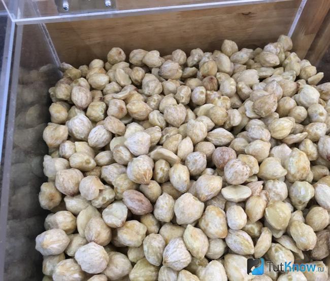 Как выглядят орехи кукуи
