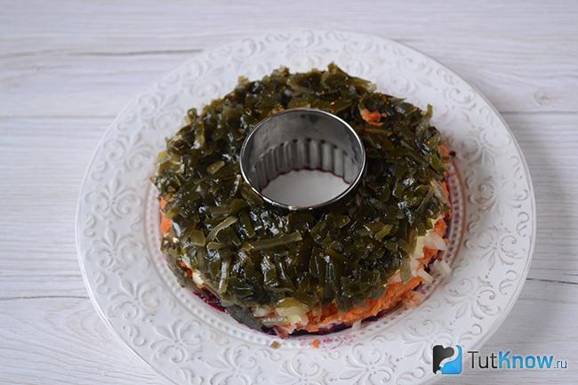 Слой морской капусты