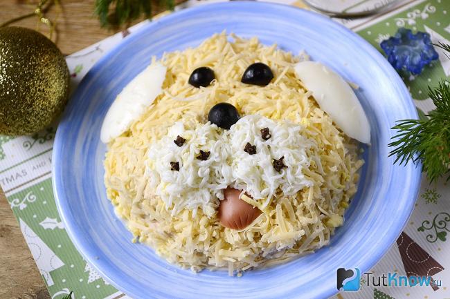 Готовый салат с тунцом и яблоками под сыром в виде собаки
