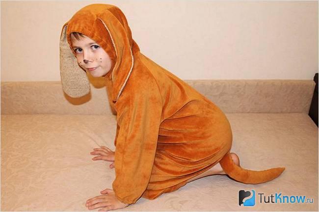 Мальчик в костюме рыжей собаки