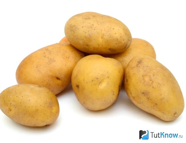 Отборный картофель для приготовления крахмала