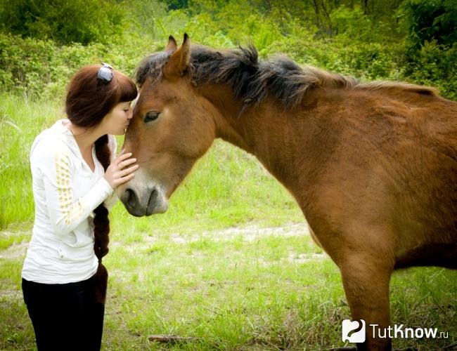 Общение девушки с лошадью на занятиях по иппотерапии