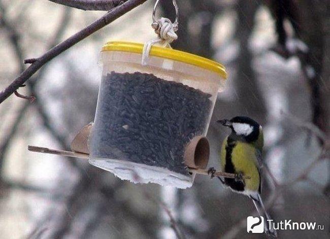 Птичка кушает из самодельной кормушки