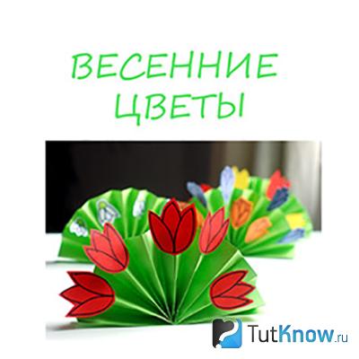 Бумажные тюльпаны крупным планом