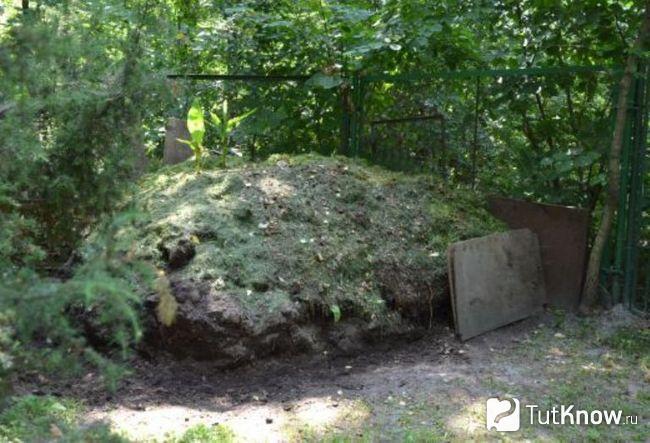 Компост сложен в кучу