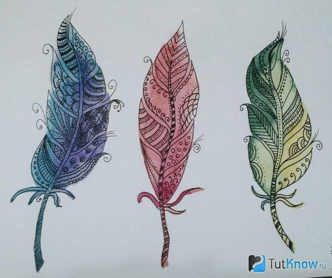 Три пёрышка, украшенные узорами зентангл