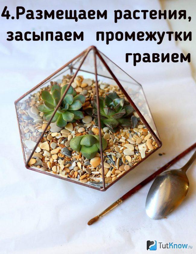 Растения помещены внутрь вазы