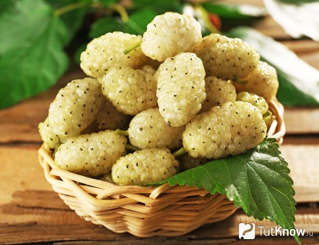 Ягоды шелковицы белой в корзинке
