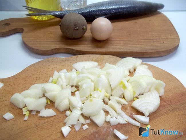 Репчатый лук очищен и нарезан полукольцами