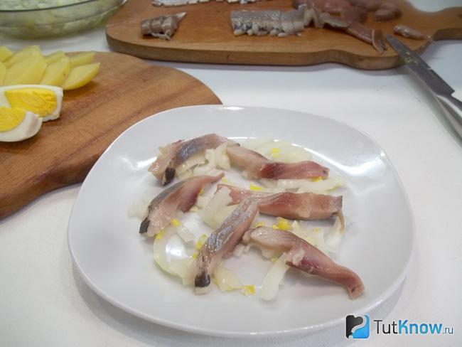 На маринованный лук выложены ломтики селедки