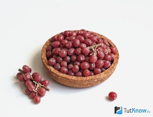 Шефердия серебристая как кладовая витаминов и микроэлементов