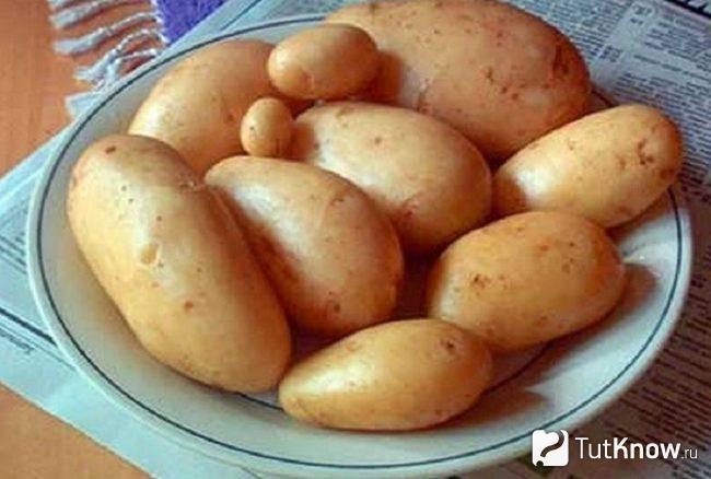 Молодая картошка, которую можно очищать от шкурки зубной щёткой