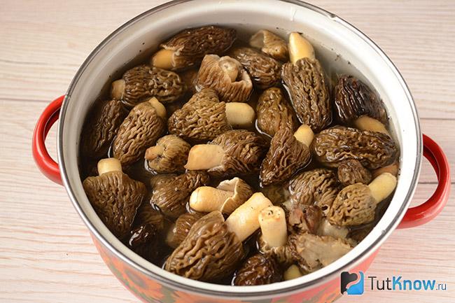 Сморчки замочены в кастрюле