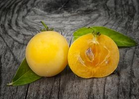 Довиалис кафрский