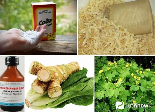 Изображение народных средств для борьбы с тлёй