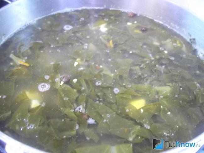 Готовый зеленый борщ со щавелем и яйцами без мяса