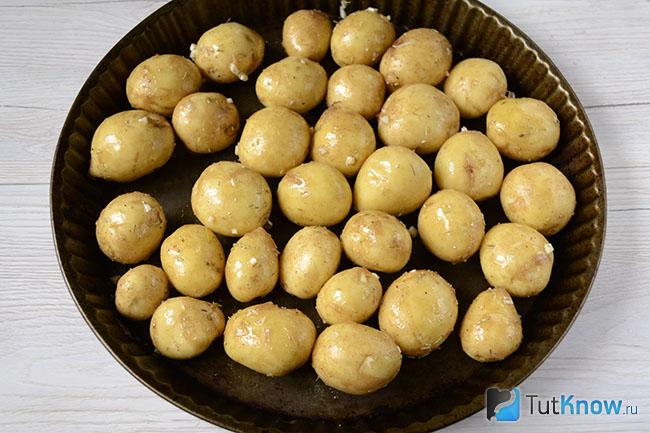 Картофель выложен в форму для запекания