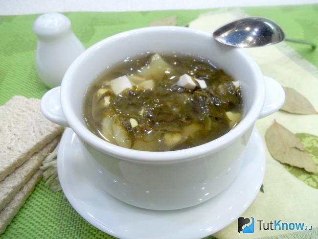Готовый зеленый борщ со щавелем и яйцами без мяса