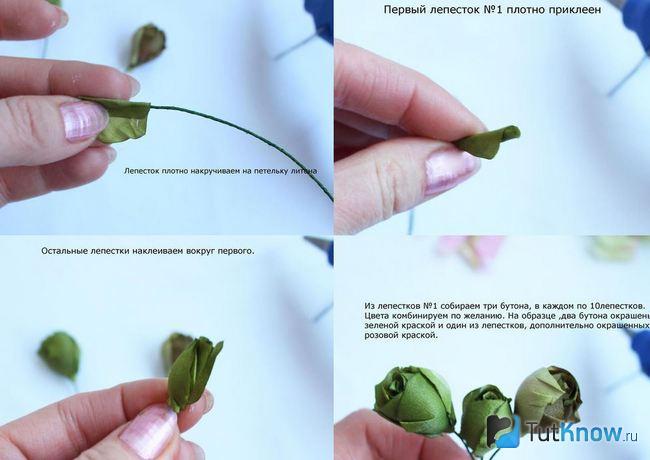 Бутоны цветков из зелёных лепестков