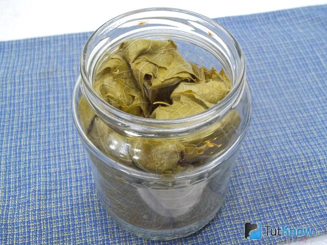 Листья свернуты рулоном уложены в стерилизованную банку