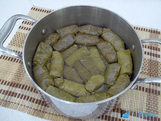 Готовая долма с говядиной и рисом
