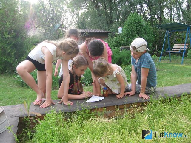 Дети заняты поиском клада