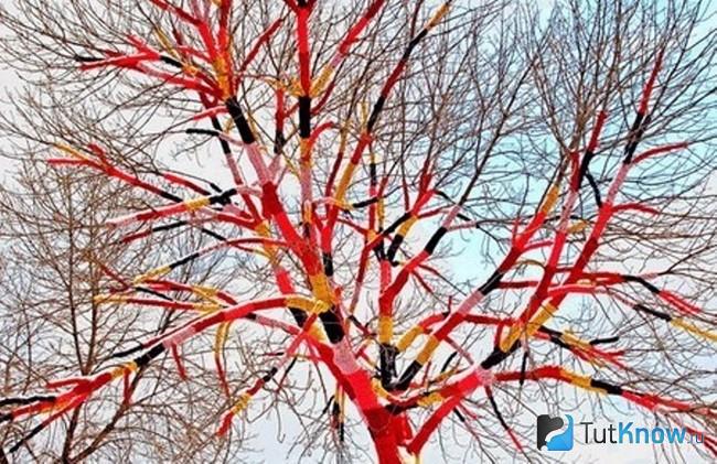 Ветки дерева украшены в стиле ярнбомбинг