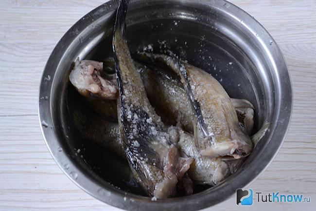 Бычки солятся в миске
