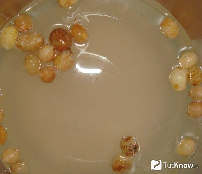 Домашний рисовый квас с изюмом