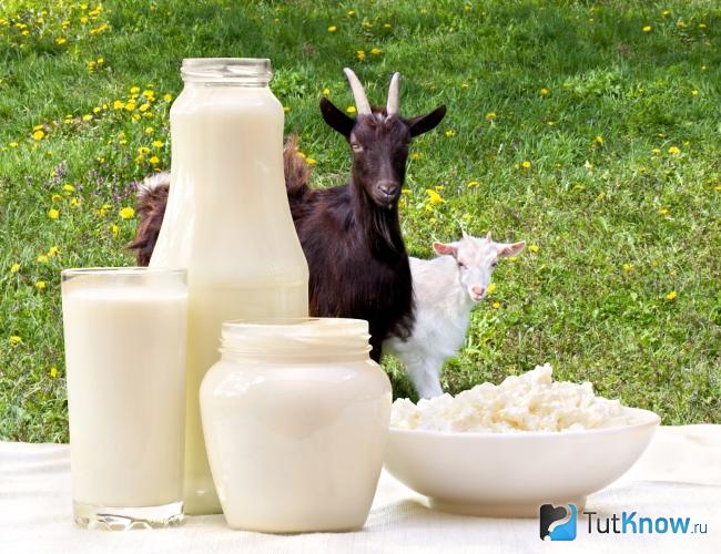 Продукты из козьего молока