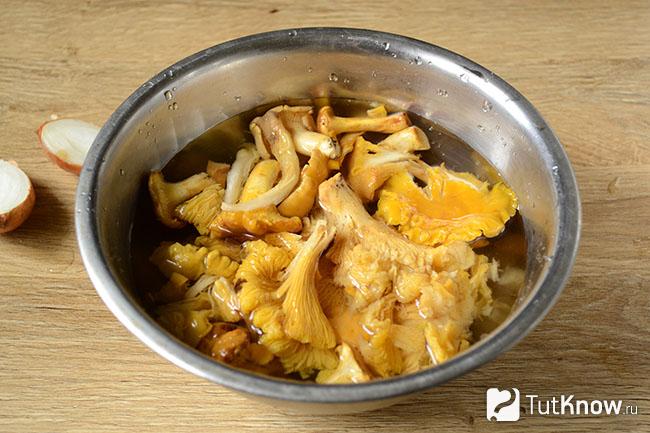 Лисички замочены в миске
