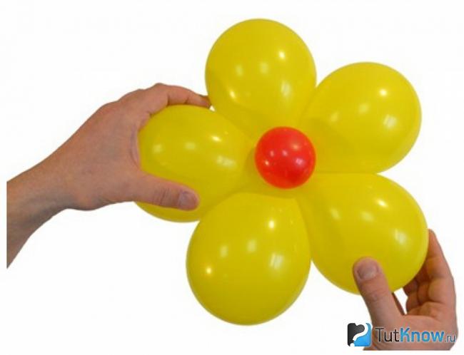 Соединение красной сердцевины цветка с его лепестками