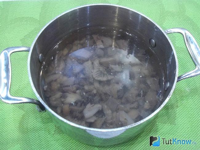 Грибы залиты водой и отправлены на плиту варится