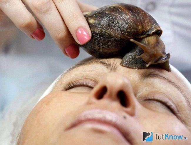 Улитка на лбу женщины