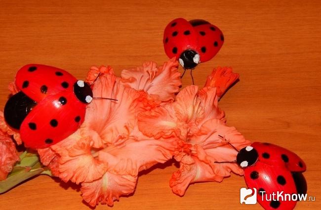 Самодельные божьи коровки возле цветка